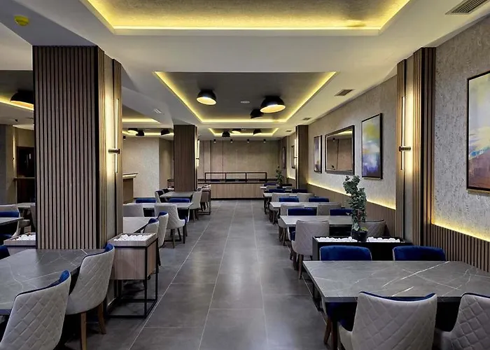 Hillview B117 Apart Otel Kopaonik